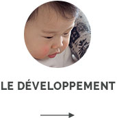Le développement