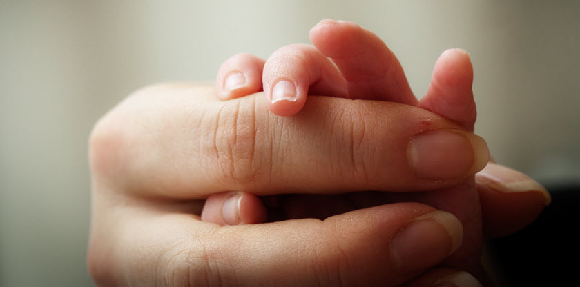 14 organisations en petite enfance interpellent le nouveau gouvernement provincial