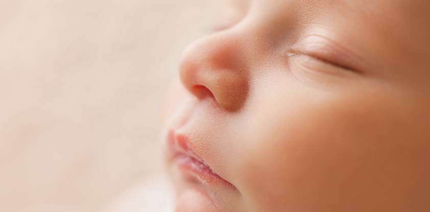 L'AQSMN offrira une formation sur le programme d'intervention « Cercle de sécurité parental » 