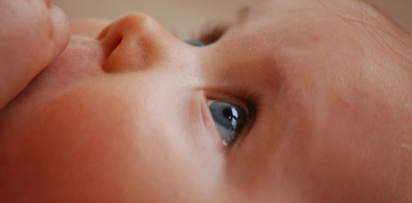 La violence familiale moins présente dans la vie des enfants du Québec qu’il y a 20 ans