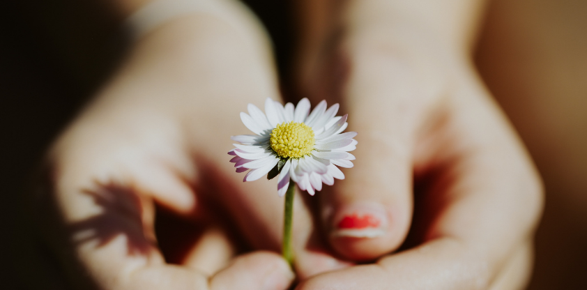 Rêver pour créer : un puits d’inspiration pour le Québec de 2040