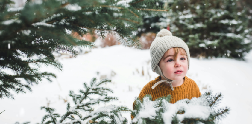 Rétrospective des publications de l’Observatoire en 2021