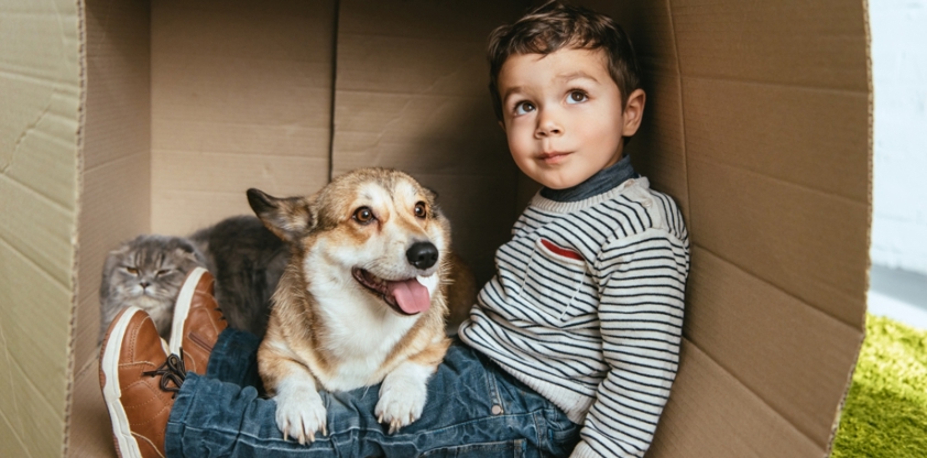 Crise du logement : pourquoi il faut protéger nos tout-petits